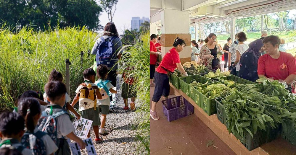 Growing greens & growing minds: Here's how 2 ground-up environmental projects are bringing people together