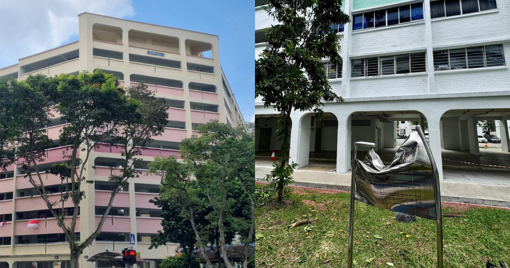 Branch from decaying tree falls & smashes through glass window of Yishun flat