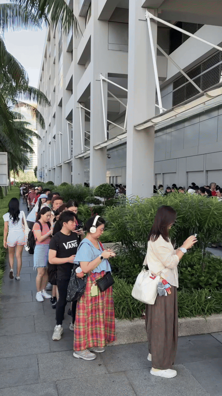 pop toy show 2025 queue