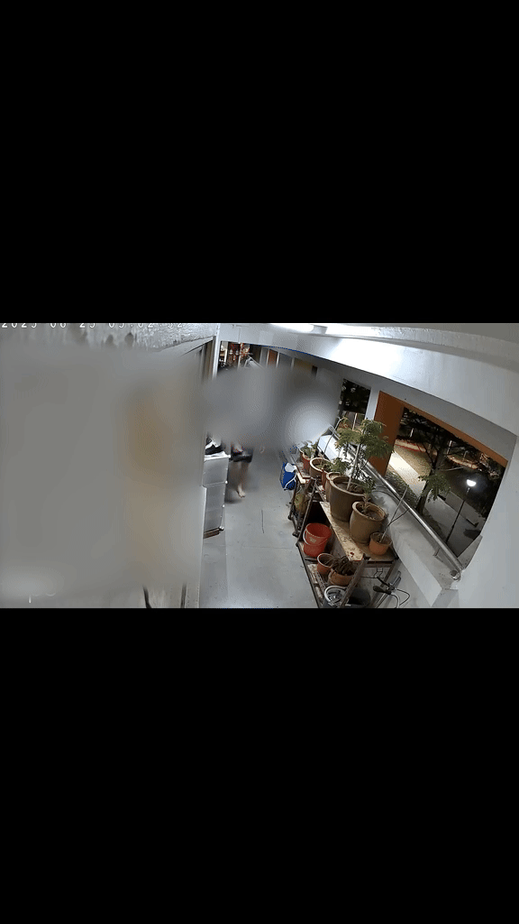 yishunmannew-ezgif.com-video-to-gif-converter-1.gif