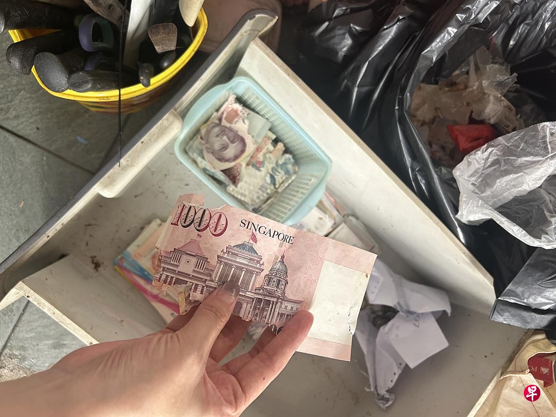 three elderly siblings hoarder house