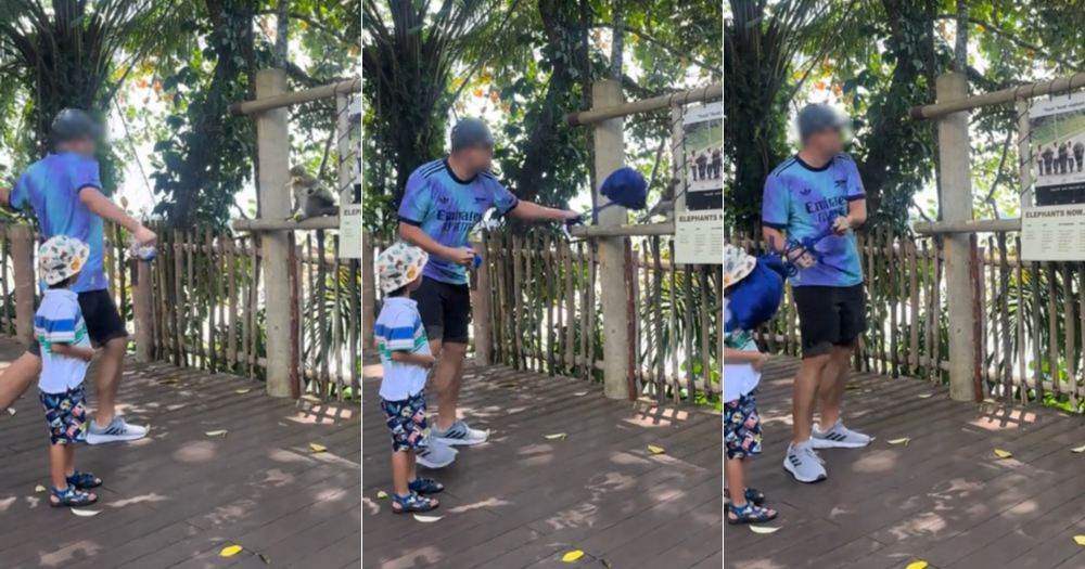 Woman allegedly caught 2 juvenile blacktip reef sharks on Sentosa ...