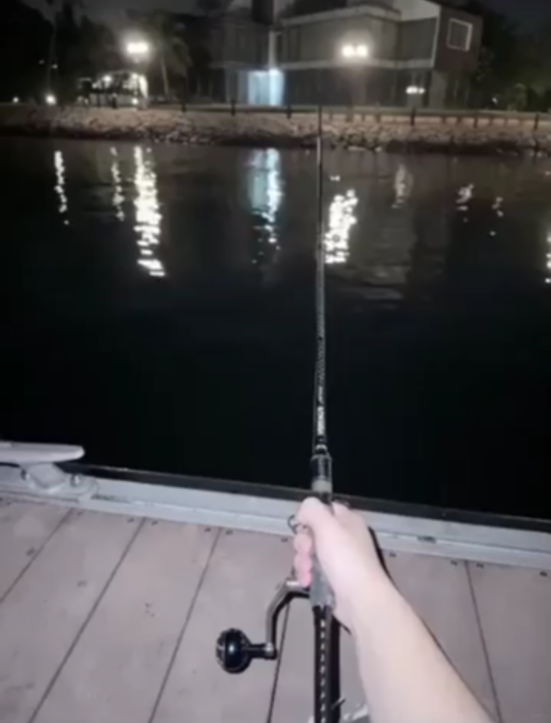 Woman allegedly caught 2 juvenile blacktip reef sharks on Sentosa ...