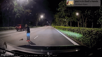 otter hit and run