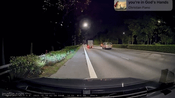 otter hit and run