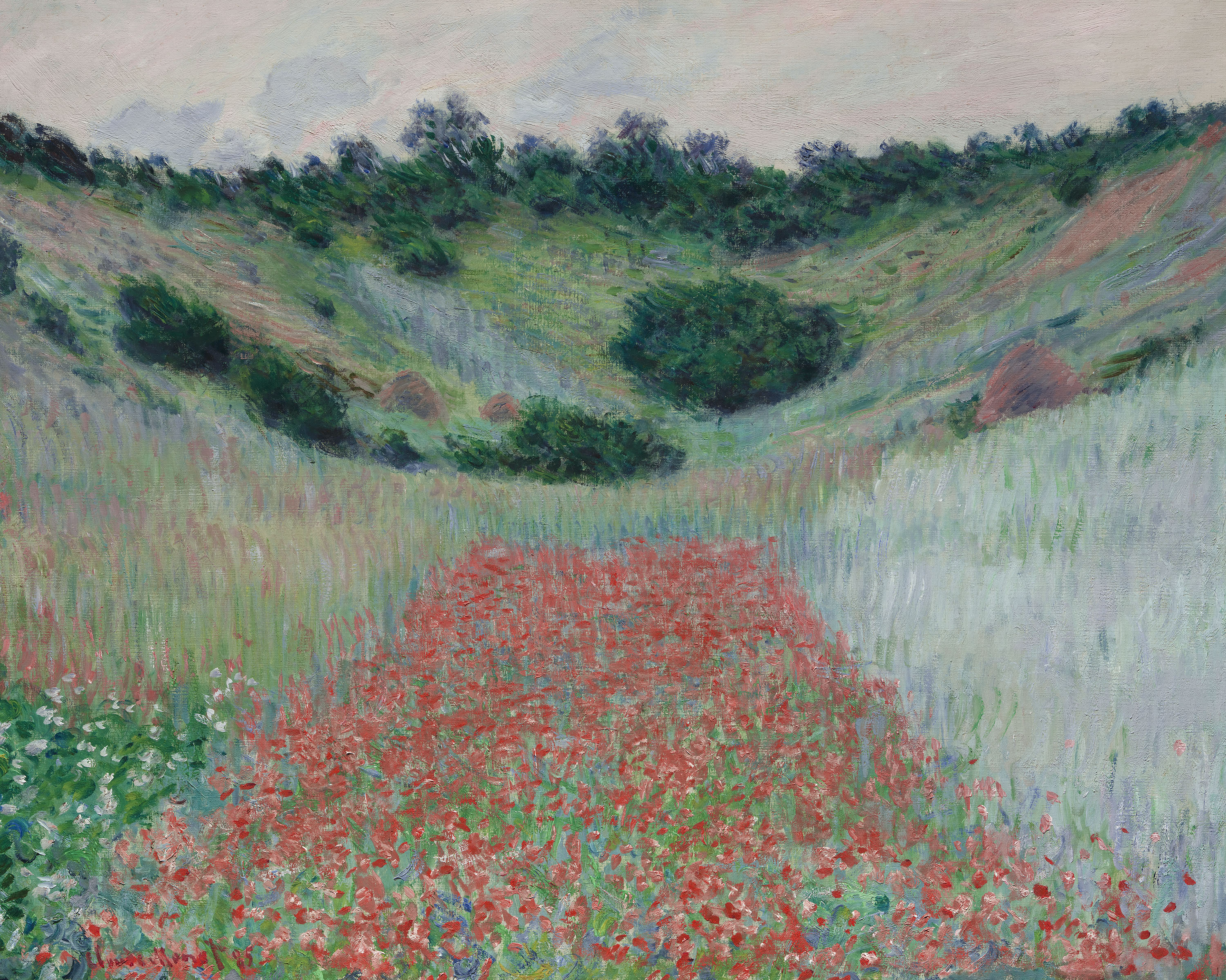 ngs claude monet