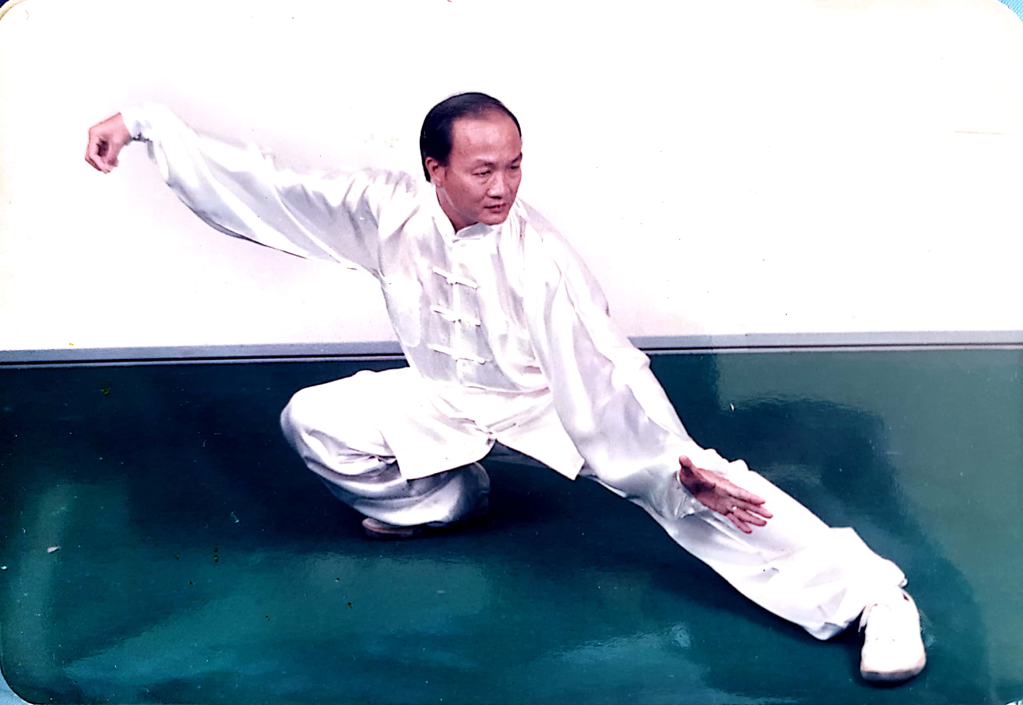 toh chwee huat wushu
