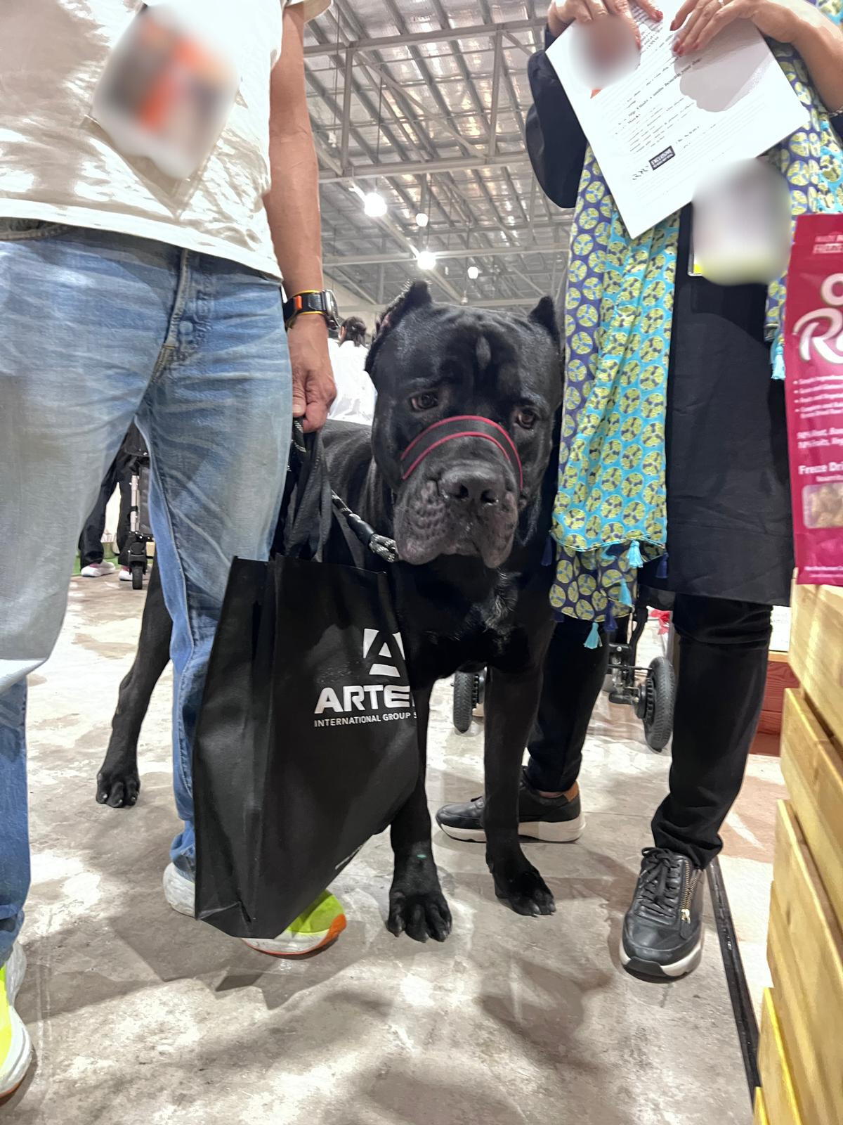 dog bite pet expo