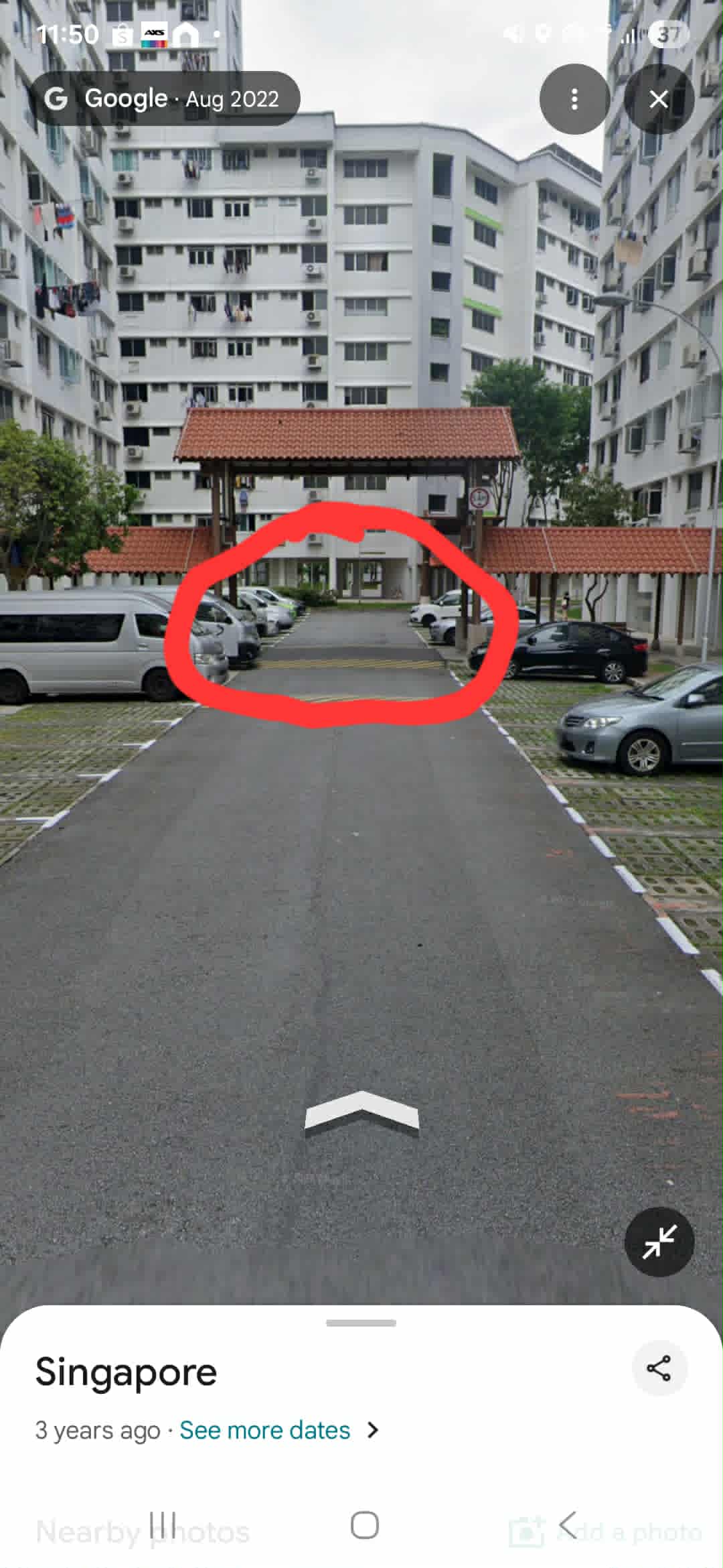 dog hit and run hougang