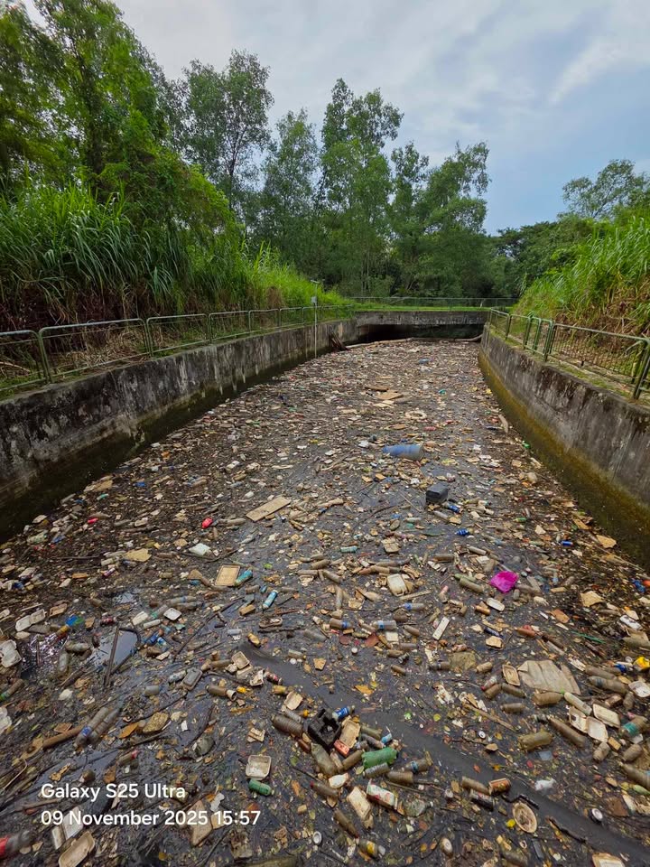 rail corridor trash filled drain