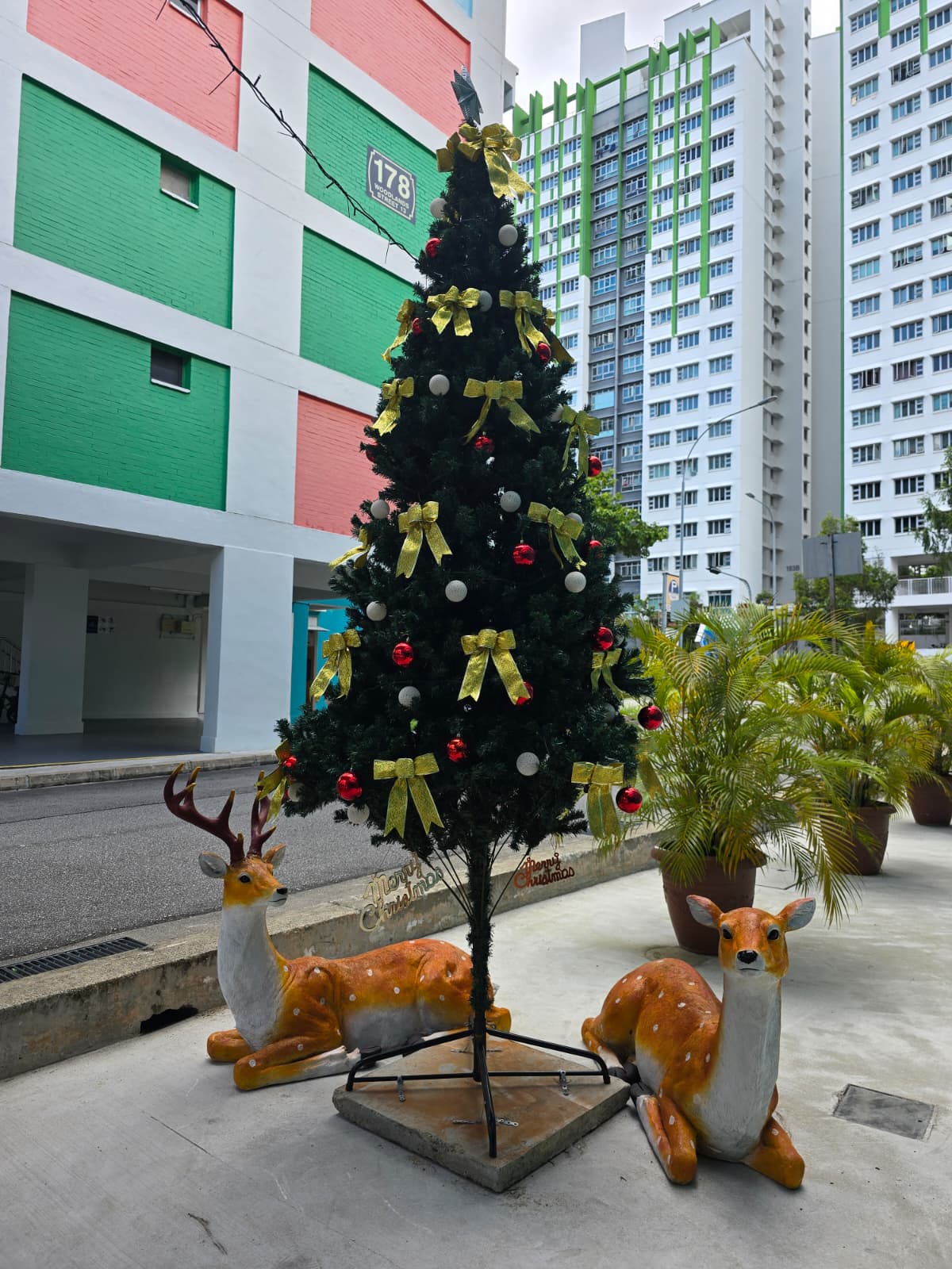 woodlands xmas deco