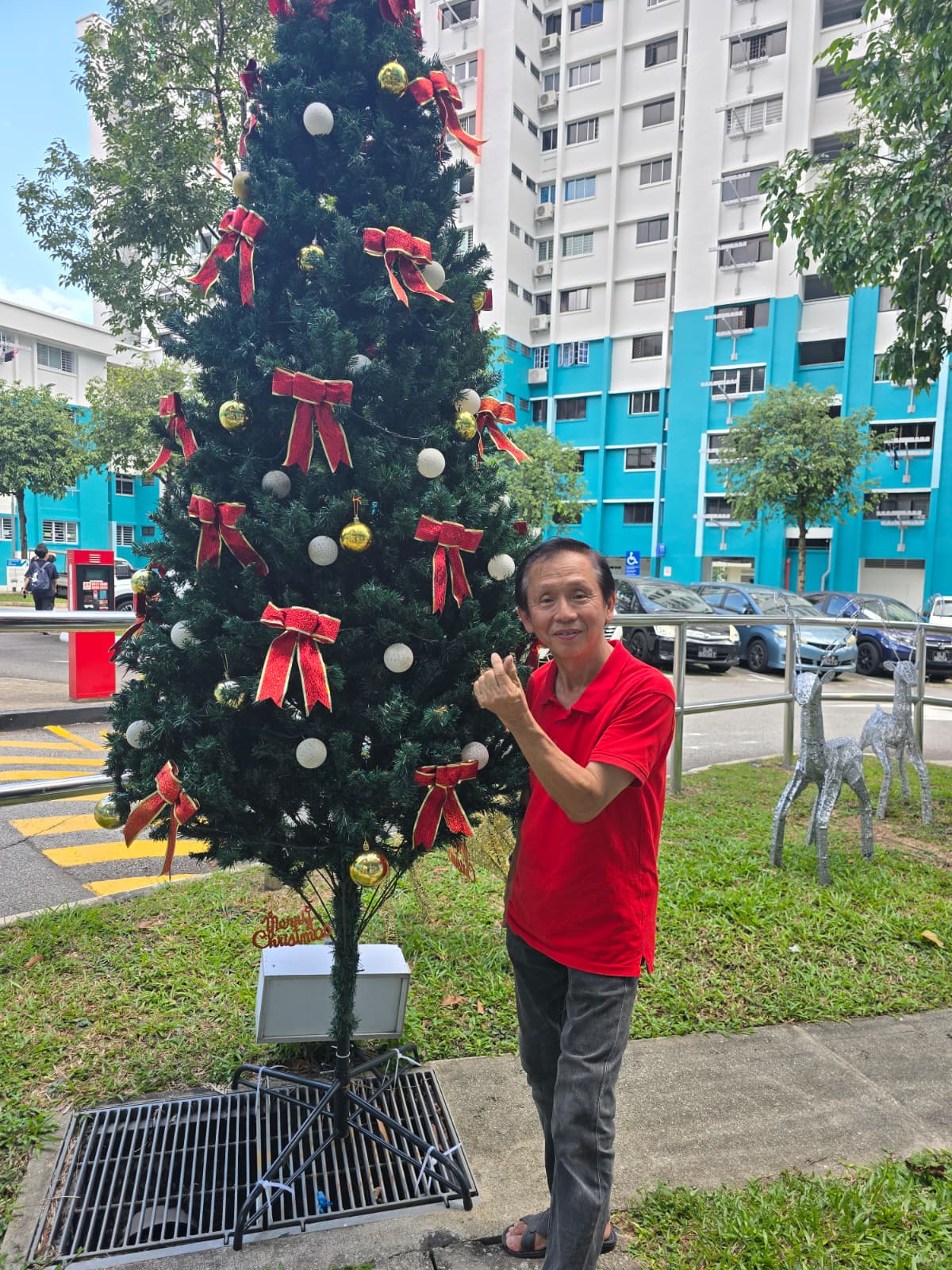 woodlands xmas deco