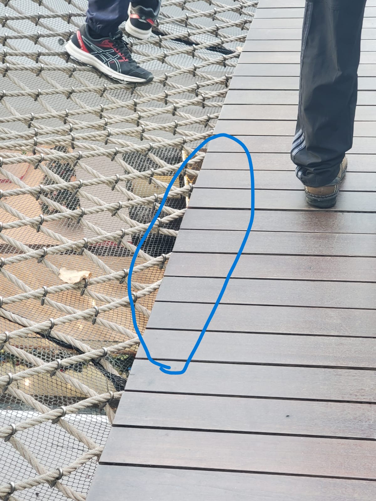 jewel walking net boy injured