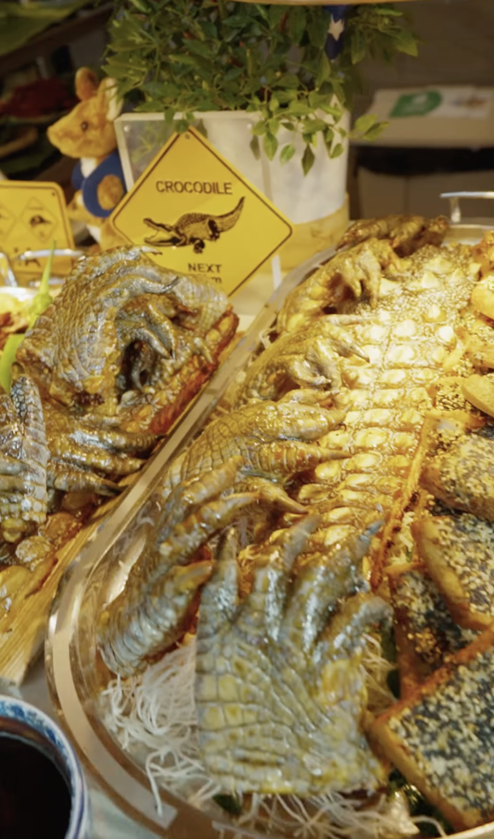 crocodile mbs buffet