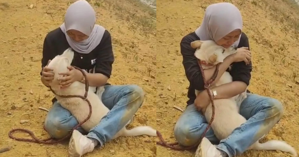 M'sia woman cries & hugs dog after accident that toppled van with 15 cats & 5 dogs