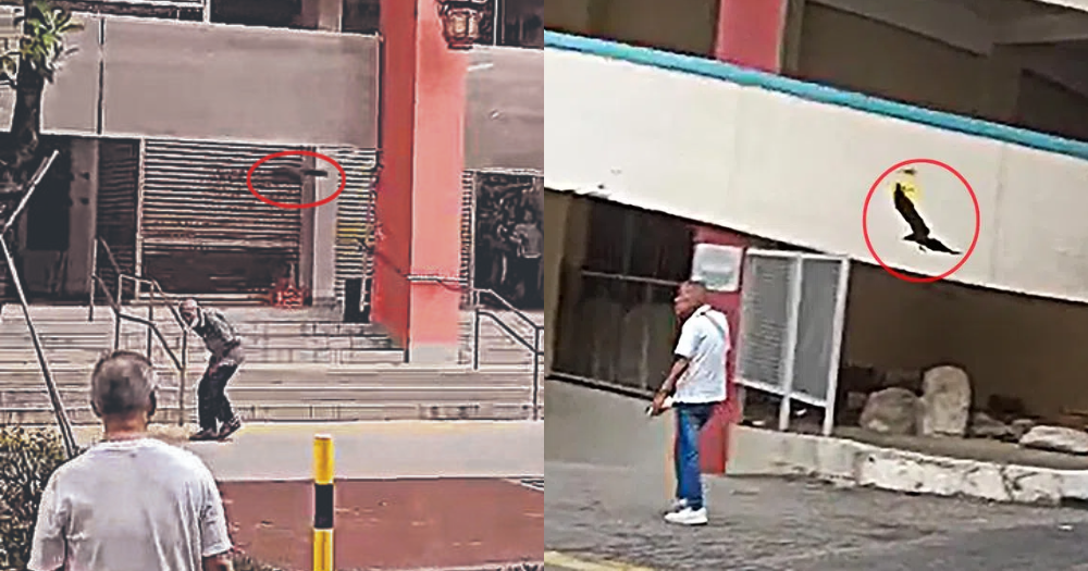 3 crows attack balding men outside Chinatown Complex, expert says it might be due to grudge against a bald man