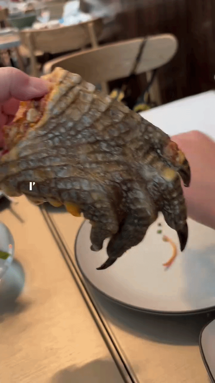 crocodile mbs buffet