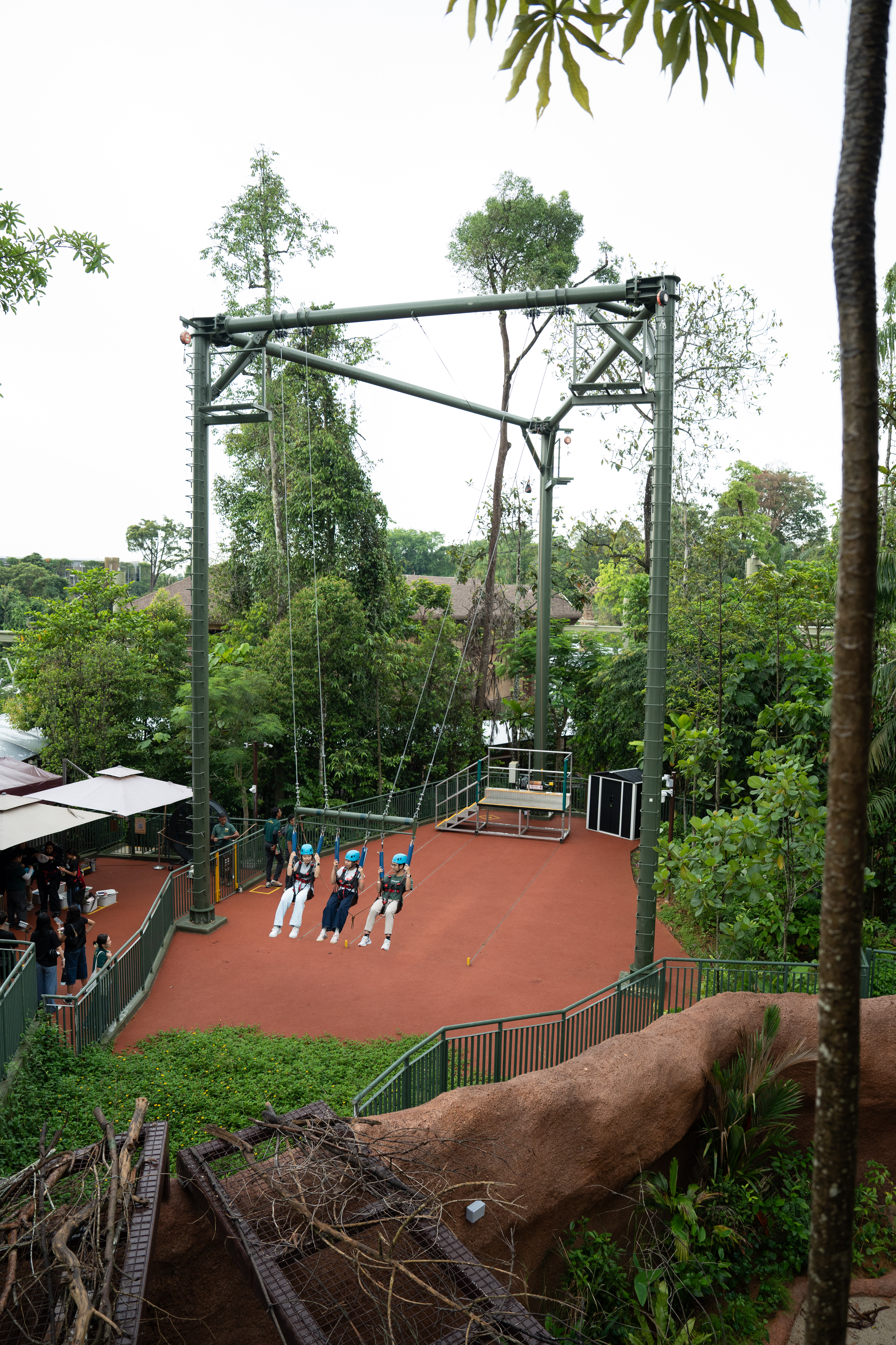 mandai