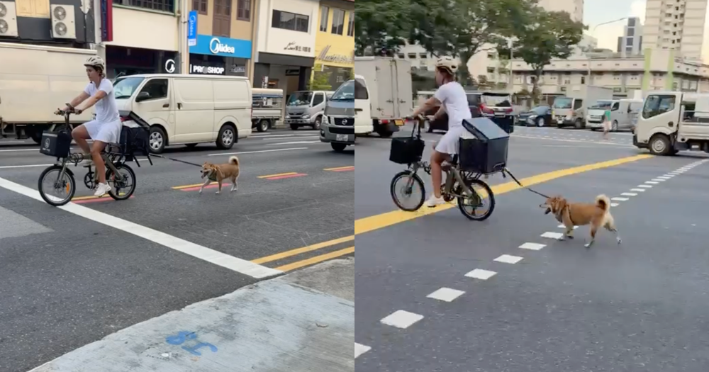 Woman seen cycling in Boon Keng with leashed Shiba Inu running on road