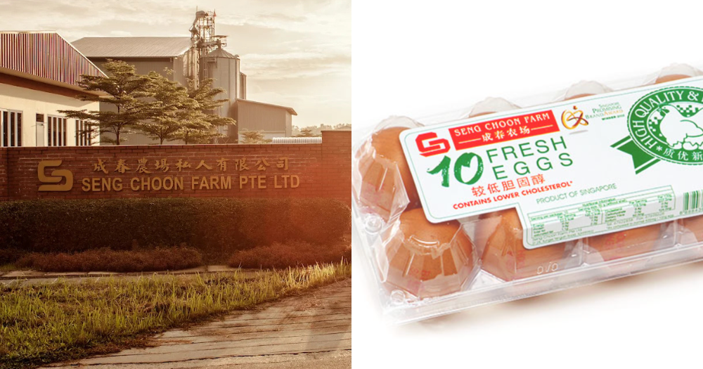 Seng Choon egg farm to move after land-use changes announced at Lim Chu Kang, area to be used for defence