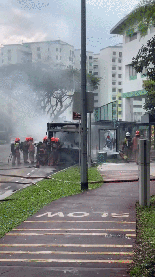 woodlands bus fire
