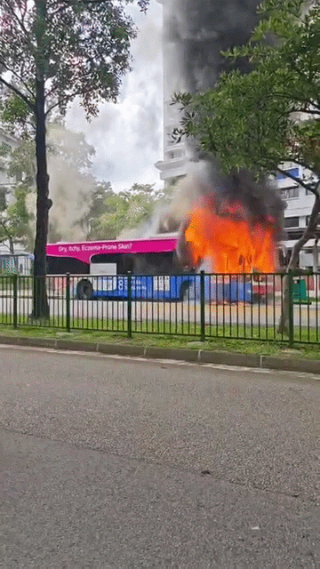 woodlands bus fire
