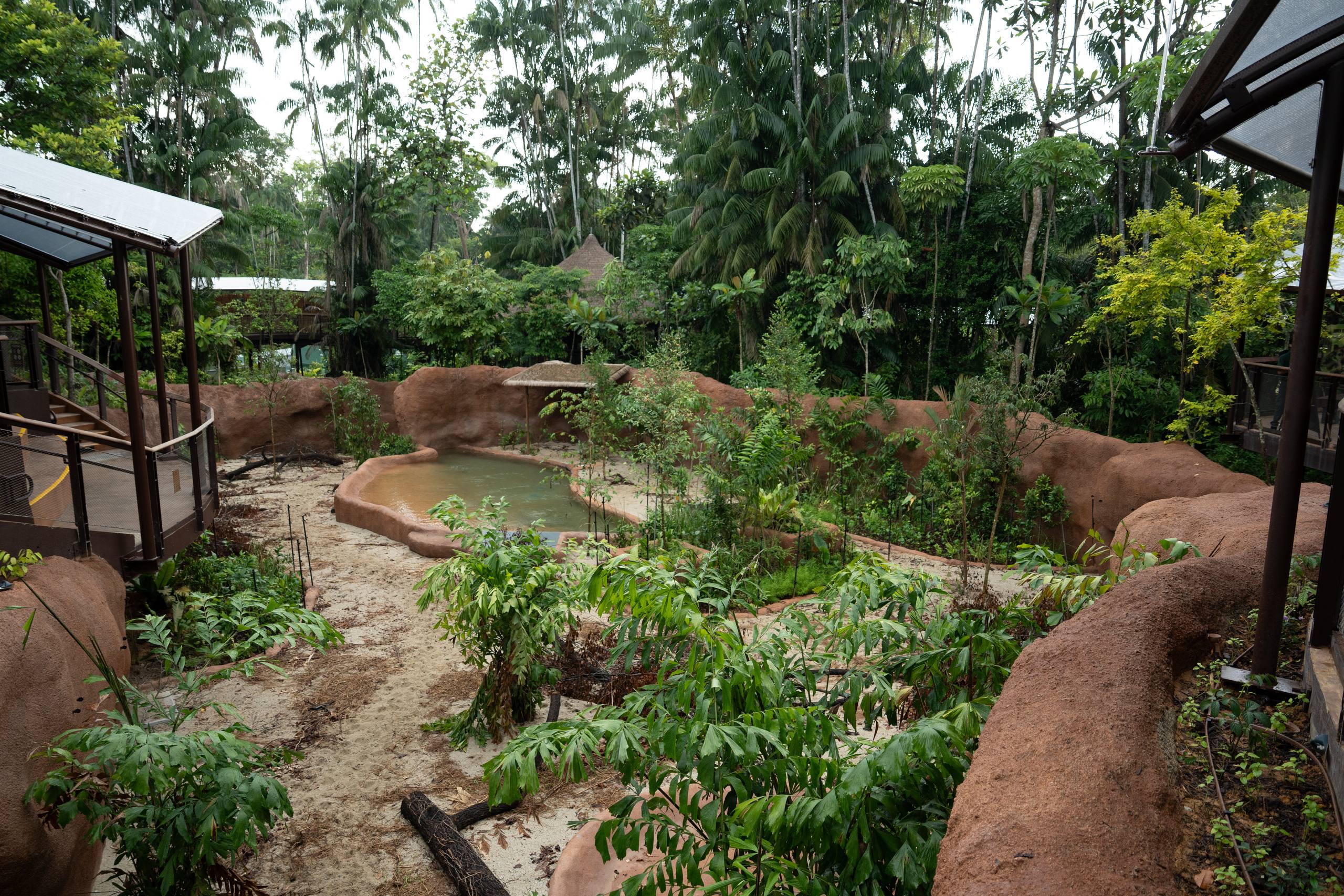 mandai