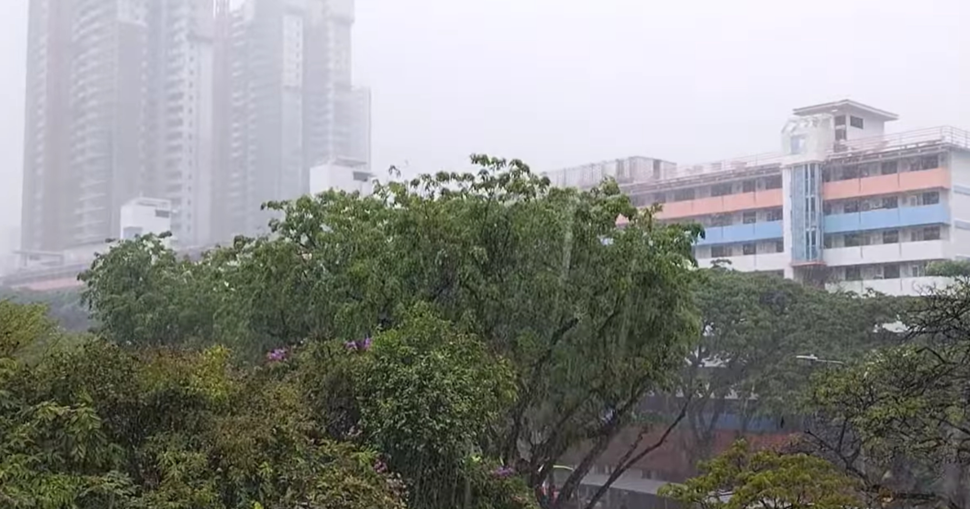 Rainy weather expected in S'pore in 1st 2 weeks of May 2026