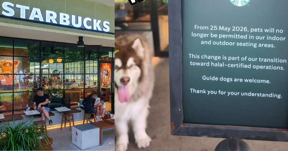 Starbucks to continue allowing pets at East Coast Park outlet, apologises after no-pets sign caused 'confusion'