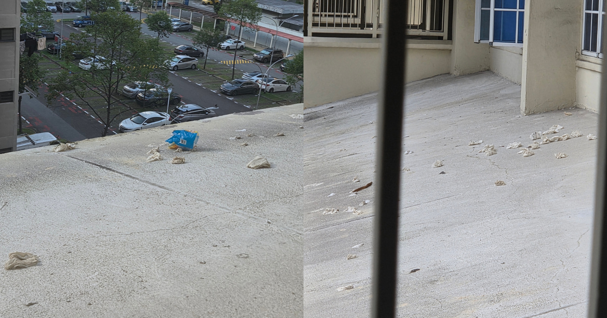 West Coast resident complains of repeated high-rise littering, tissues & cai fan thrown down, town council to carry out cleaning