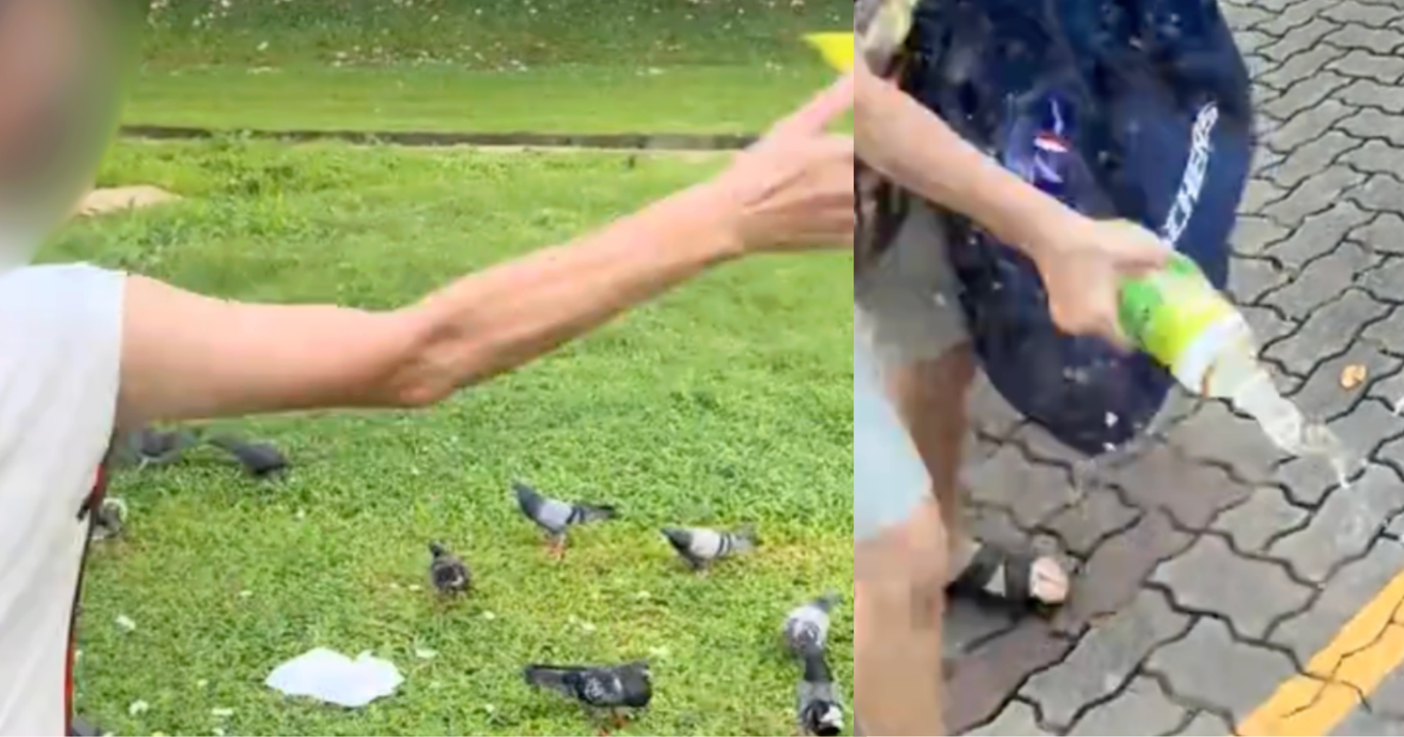 S'pore woman points middle finger & splashes liquid at man who told her not to feed pigeons