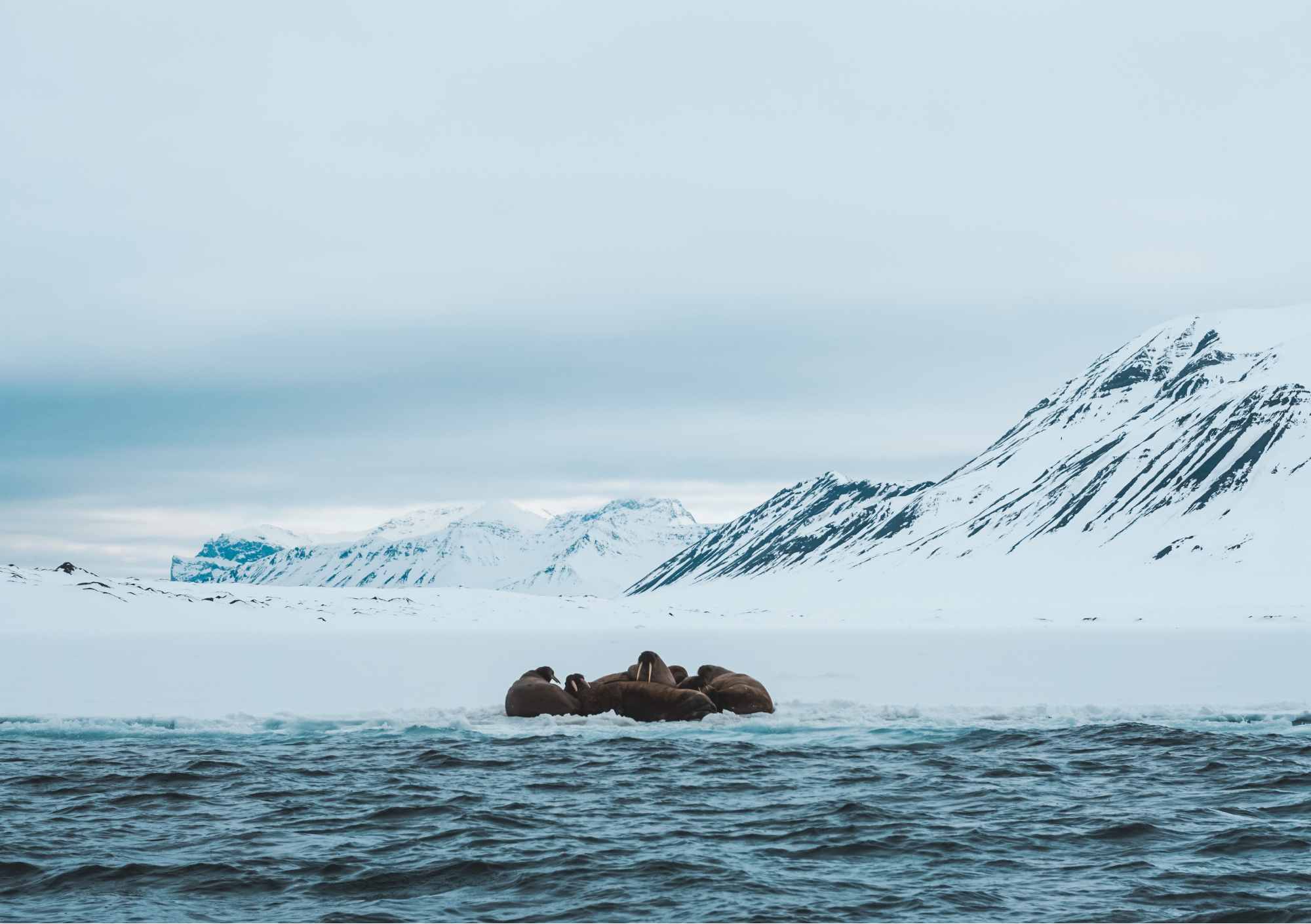 svalbard