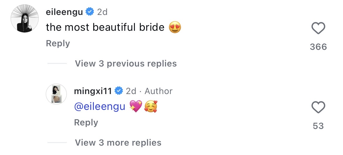 mingxi mario ho