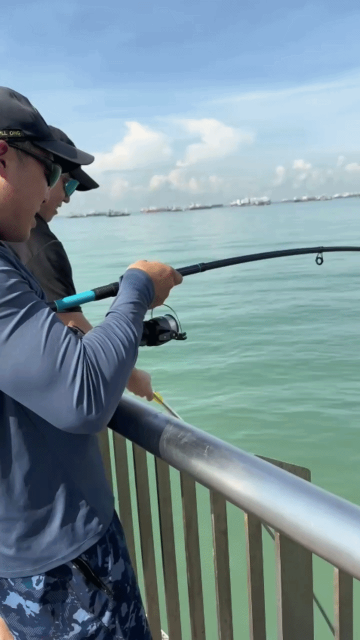 8ft spinning rod & reel combo KastKing Big Game Fishing and 4000 / 7'0