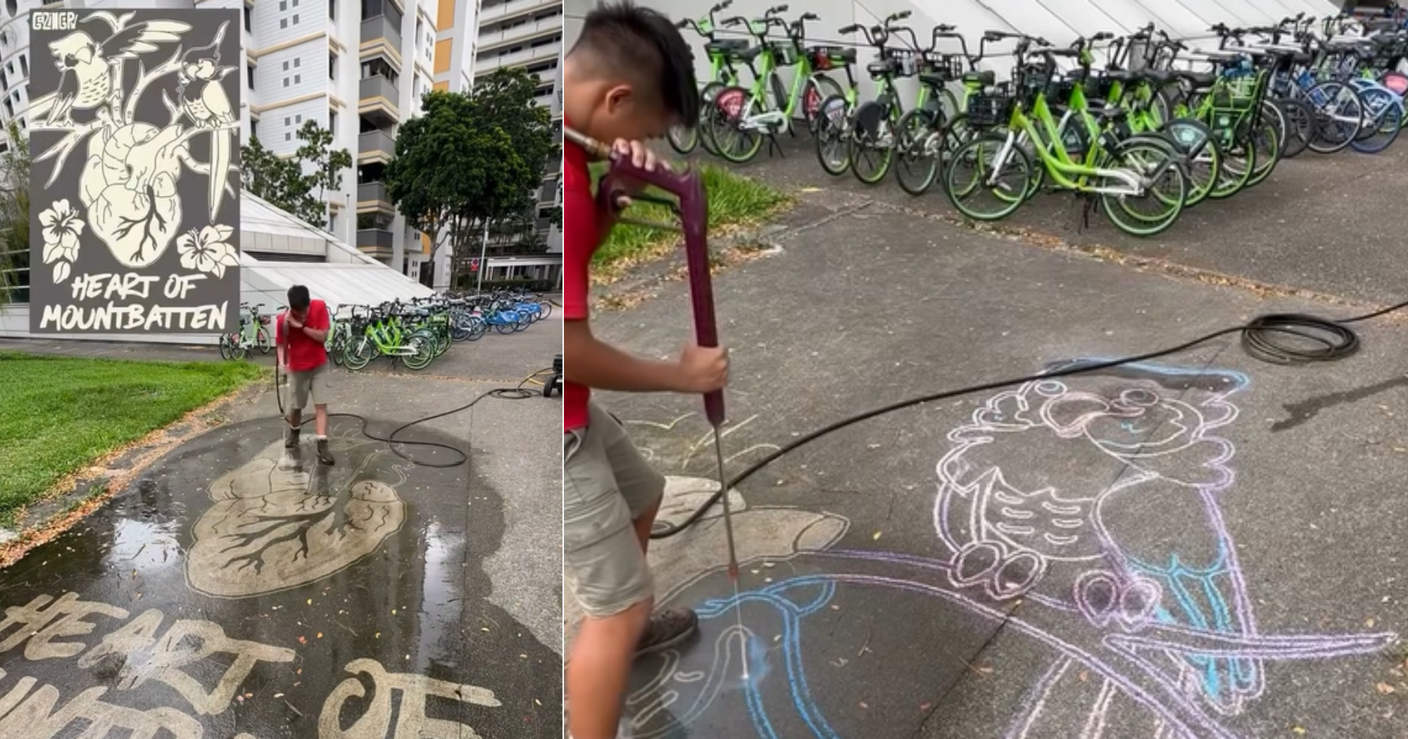 Mountbatten MP Gho Sze Kee addresses power washer art remova