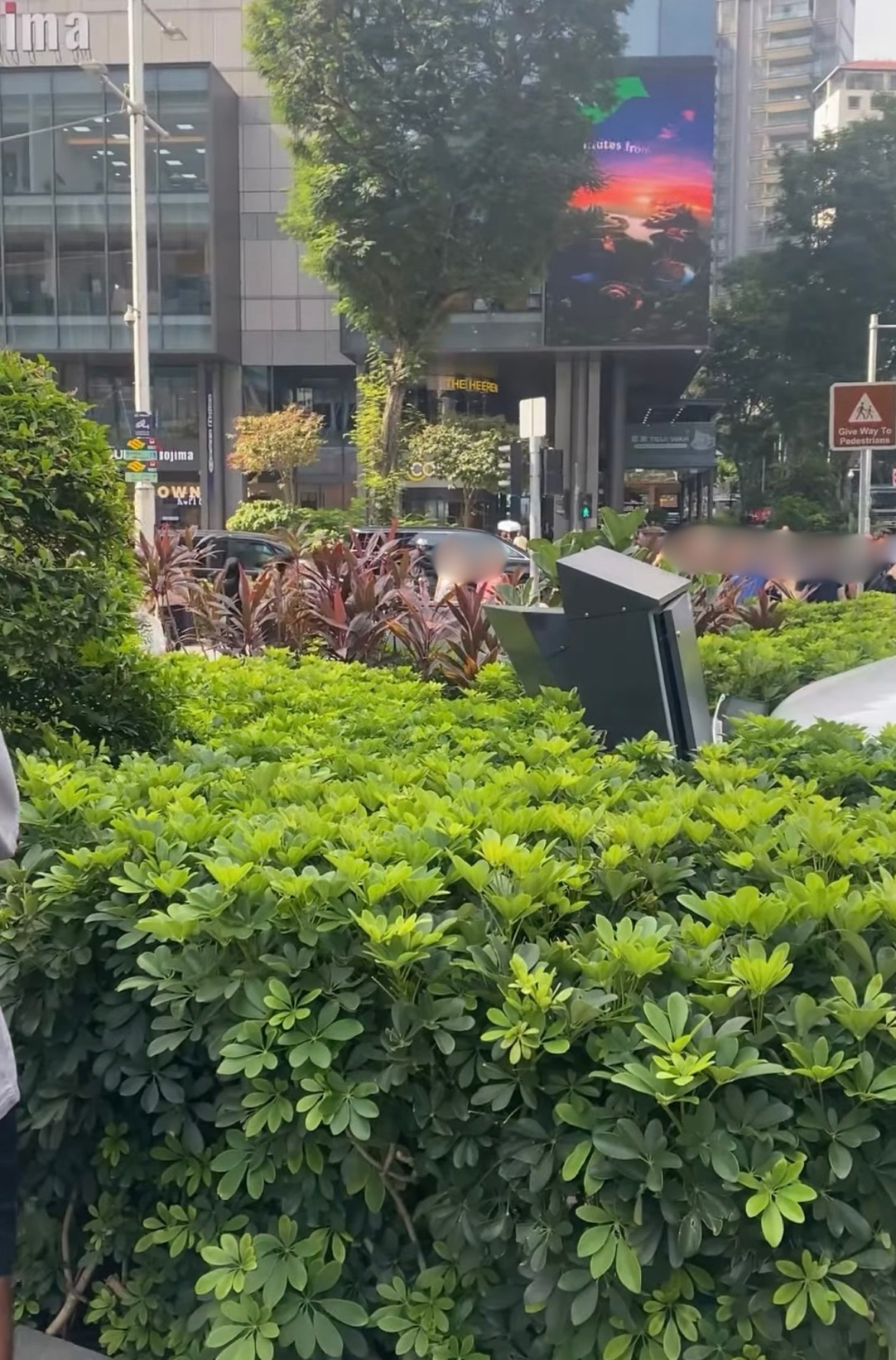 mandarin gallery accident