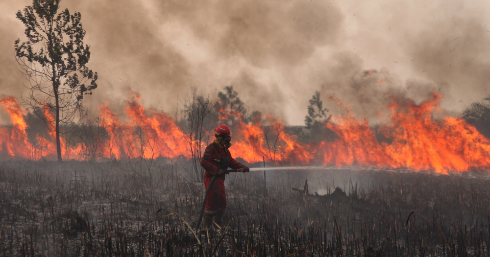 Wildfires could last till early-Nov. 2026, warns Indonesia forestry minister - Mothership