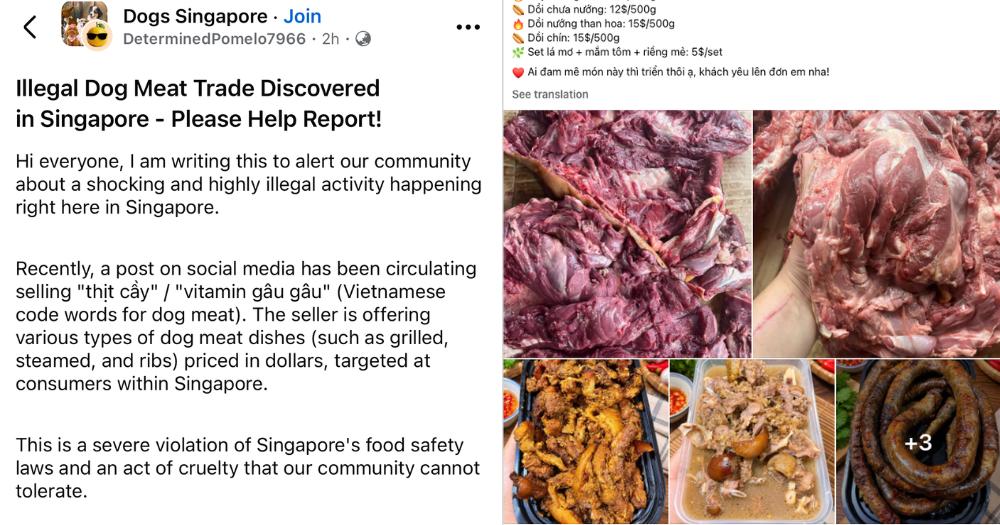 Facebook posts allege sale of dog meat in S'pore Vietnamese groups, woman & company accused as sellers say claims untrue