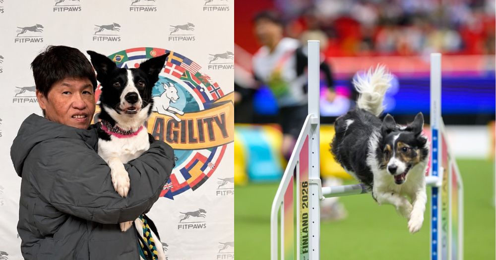 S'porean woman, 60, & border collie place 5th at world championship in Finland - Mothership